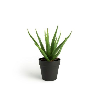  Τεχνητό Φυτό Aloe Vera 36 cm Inkazen 40081834 