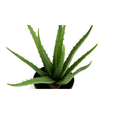  Τεχνητό Φυτό Aloe Vera 36 cm Inkazen 40081834 