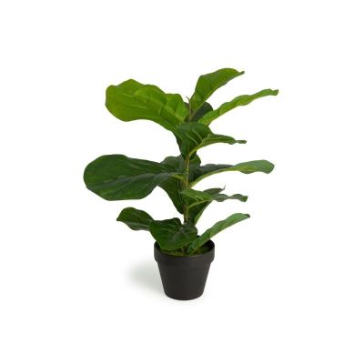  Τεχνητό Φυτό Ficus Lyrata 50 cm Inkazen 40081828 