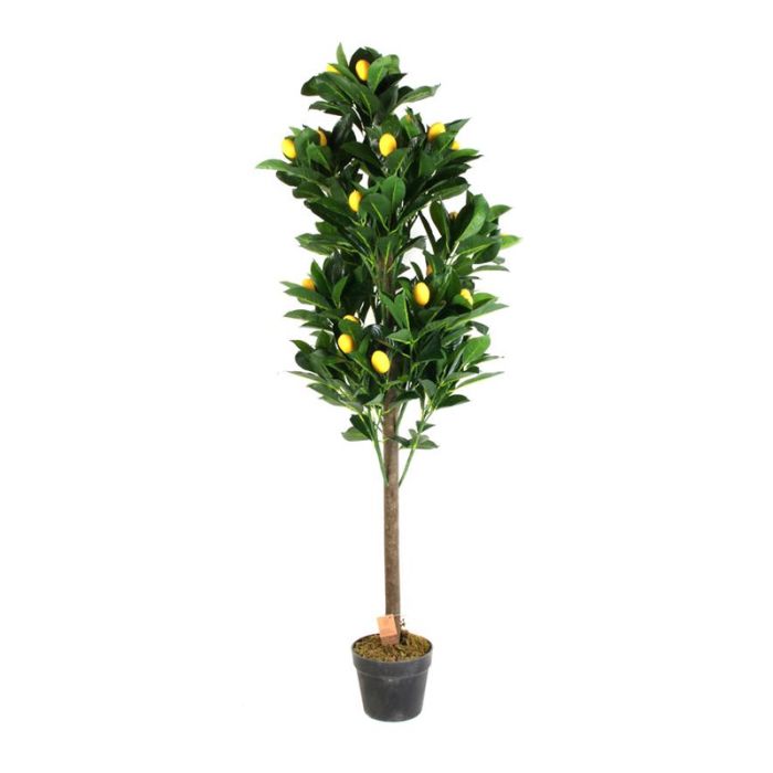  Τεχνητό Φυτό Λεμονιά 120 cm Home Deco Factory HD4153 