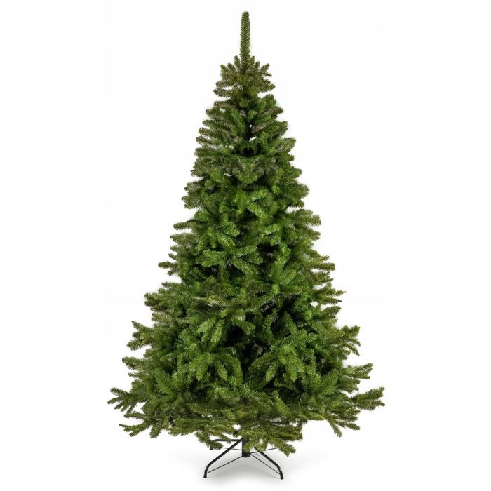 Χριστουγεννιάτικο δέντρο σε βάση - Καυκάσιο έλατο 220 cm-4832