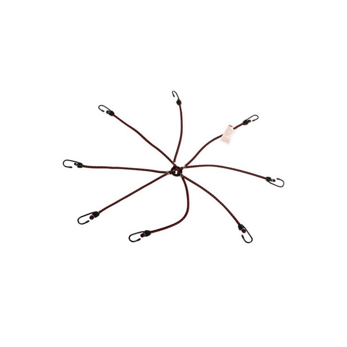  ΧΤΑΠΟΔΙ ΕΛΑΣΤΙΚΟ SPIDER Φ8mm ΜΕ 8 ΓΑΝΤΖΟΥΣ 